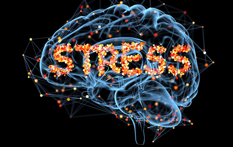 perche stress influisce intestino