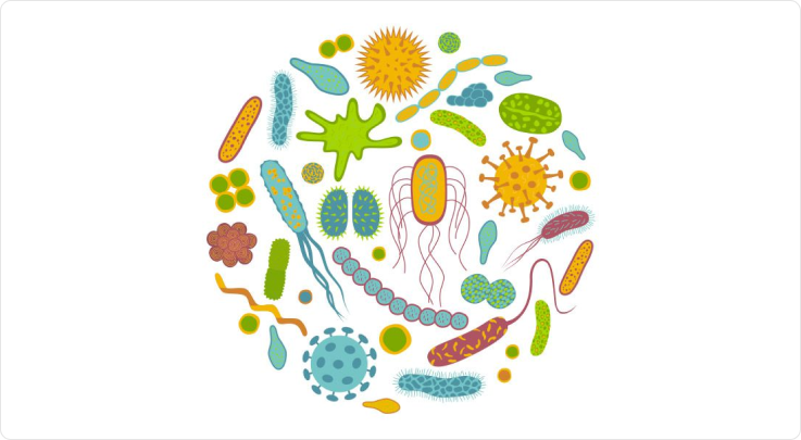 probiotici e stitichezza